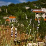 Villa Huerte